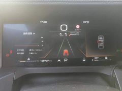 Tank 300 2021 Off-Road Edition 2.0T Conqueror - ფოტო 14