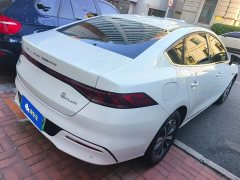 BYD Qin PLUS 2024 Glory Edition DM-i 55KM Leading - ფოტო 3
