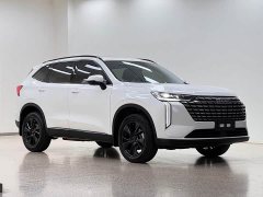 Haval H6 1.5T Two-Wheel Drive Max - ფოტო 3