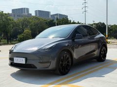 Tesla Model Y 2022 Facelift Rear-Wheel Drive - ფოტო 1