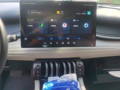 BYD Yuan Plus Glory Edition 510KM Excellence - ფოტო 13
