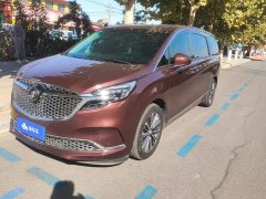 Buick GL8 ES Land Respect 653T Premier - ფოტო 1
