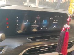 Buick GL8 ES Land Respect 653T Premier - ფოტო 13