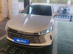 BYD Destroyer 05 2024 DM-i 55KM Pioneer Glory Edition - ფოტო 1