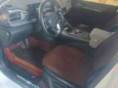 BYD Destroyer 05 2024 DM-i 55KM Pioneer Glory Edition - ფოტო 9