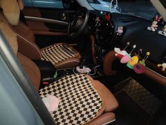 BMW MINI Countryman Facelift II 2.0T Cooper S ALL4 Connoisseur - ფოტო 8