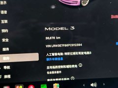 Tesla Model 3 2022 Rear-Wheel Drive - ფოტო 7
