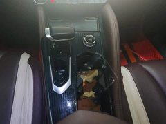 Geely Xingyue L 2021 2.0T DCT EVO FWD Smart Premium Edition - ფოტო 16