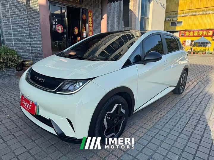 BYD Dolphin 405km Fashion Edition - ავტომობილი ჩინეთიდან