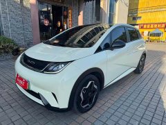 BYD Dolphin 405km Fashion Edition - ფოტო 1