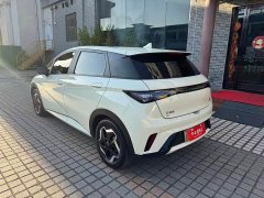 BYD Dolphin 405km Fashion Edition - ფოტო 5
