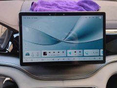 BYD Song Plus New Energy 2025 DM-i 112KM Prestige - ფოტო 13