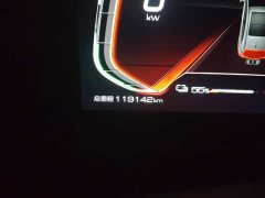 BYD Yuan Pro 2021 401KM Deluxe - ფოტო 13
