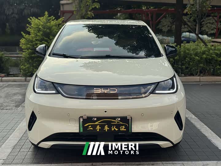 BYD Dolphin Smart Drive 420km Freedom Edition - ავტომობილი ჩინეთიდან