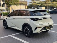 BYD Dolphin Smart Drive 420km Freedom Edition - ფოტო 14