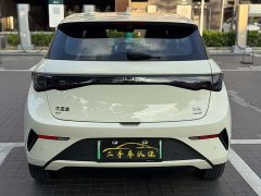 BYD Dolphin Smart Drive 420km Freedom Edition - ფოტო 15