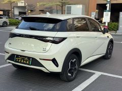 BYD Dolphin Smart Drive 420km Freedom Edition - ფოტო 17