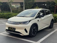 BYD Dolphin Smart Drive 420km Freedom Edition - ფოტო 2