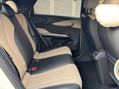 BYD Dolphin Smart Drive 420km Freedom Edition - ფოტო 9