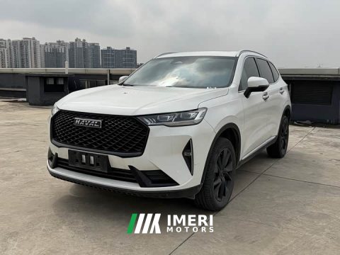 2021 Haval H6 Third Generation 2.0T Automatic Two-Wheel Drive Max - ავტომობილი ჩინეთიდან