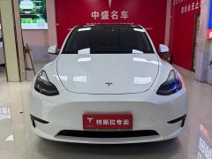 Tesla Model Y Rear-Wheel Drive - ფოტო 2