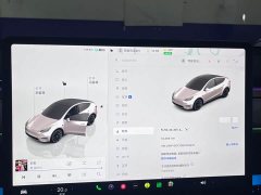 Tesla Model Y Rear-Wheel Drive - ფოტო 7