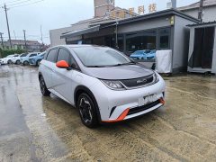 BYD Dolphin 405km Fashion Edition - ფოტო 3