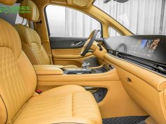 Voyah Avatr Dream Car Low Carbon Edition Dream Smart Enjoyment Package - ფოტო 11