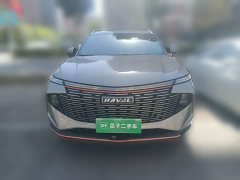 Haval Divine Beast 1.5T Smart Enjoy Edition - ფოტო 2