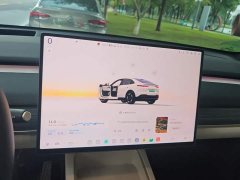 Nio Lerado L60 60kWh Rear-Wheel Drive - ფოტო 13