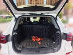 SAIC MG RX5 New Energy 2020 ePLUS National Trend Rongling Luxury Edition - ფოტო 15
