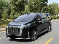 Great Wall WEY Shanshan New Energy Four-Wheel Drive Shanshan 8 - ფოტო 1