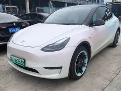 Tesla Model Y 2021 Standard Range RWD - ფოტო 1
