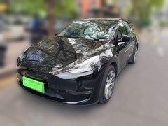 Tesla Model Y Standard Range RWD - ფოტო 1