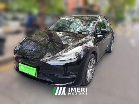 2021 Tesla Model Y Standard Range RWD - ავტომობილი ჩინეთიდან