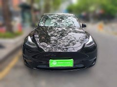 Tesla Model Y Standard Range RWD - ფოტო 2