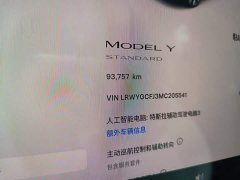 Tesla Model Y Standard Range RWD - ფოტო 8