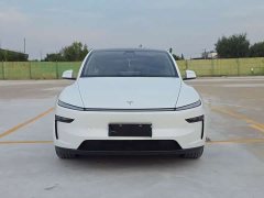 Tesla Model Y Long Range All-Wheel Drive - ფოტო 2