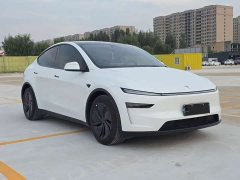Tesla Model Y Long Range All-Wheel Drive - ფოტო 3