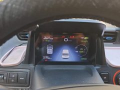 Wuling Hongguang MINIEV Zizai Edition LFP Battery - ფოტო 14