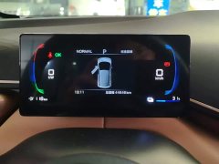 BYD Seagull 305km Freedom Edition - ფოტო 14