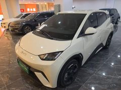 BYD Seagull 2023 Freedom Edition - ფოტო 1