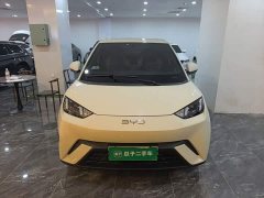 BYD Seagull 2023 Freedom Edition - ფოტო 2