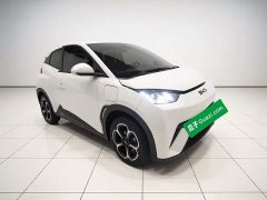 BYD Seagull 2023 Freedom Edition - ფოტო 3