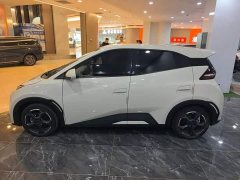 BYD Seagull 2023 Freedom Edition - ფოტო 4
