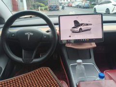 Tesla Model 3 Performance All-Wheel Drive - ფოტო 12