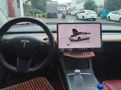 Tesla Model 3 Performance All-Wheel Drive - ფოტო 13