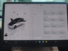 Tesla Model 3 Performance All-Wheel Drive - ფოტო 14
