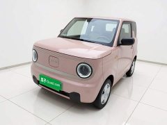 Geely Panda Mini 200km Endurance Edition - ფოტო 1