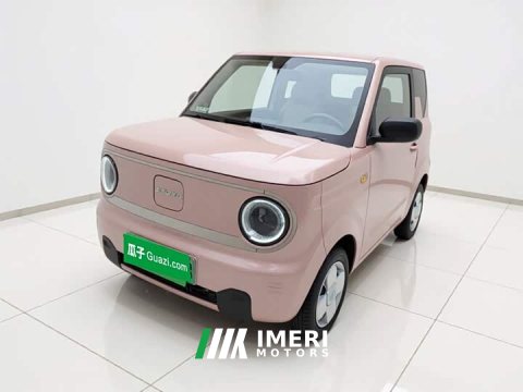 2023 Geely Panda Mini 200km Endurance Edition - ავტომობილი ჩინეთიდან